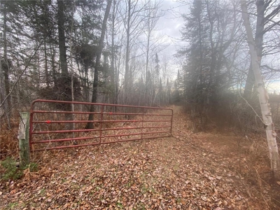 80 Acres of Land w/ Trails & Stands for Sale in Mahtowa MN - image 1