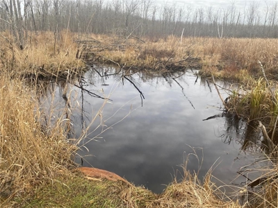 80 Acres of Land w/ Trails & Stands for Sale in Mahtowa MN - image 8