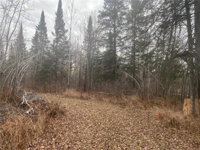 80 Acres of Land w/ Trails & Stands for Sale in Mahtowa MN - image 3