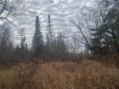 80 Acres of Land w/ Trails & Stands for Sale in Mahtowa MN - image 13