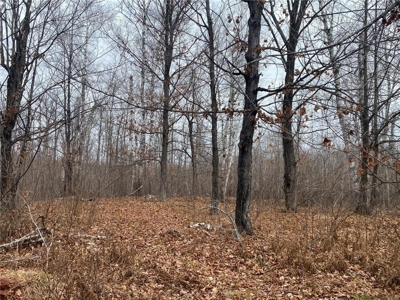 80 Acres of Land w/ Trails & Stands for Sale in Mahtowa MN - image 19