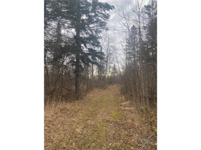 80 Acres of Land w/ Trails & Stands for Sale in Mahtowa MN - image 9