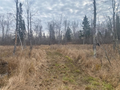 80 Acres of Land w/ Trails & Stands for Sale in Mahtowa MN - image 10