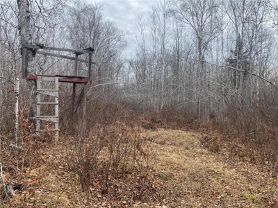 80 Acres of Land w/ Trails & Stands for Sale in Mahtowa MN - image 17
