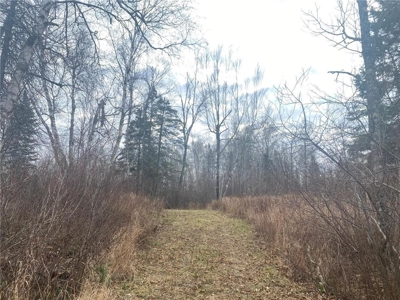 80 Acres of Land w/ Trails & Stands for Sale in Mahtowa MN - image 11