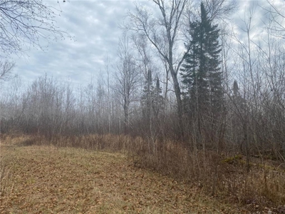 80 Acres of Land w/ Trails & Stands for Sale in Mahtowa MN - image 14