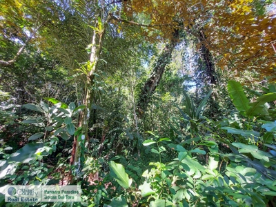 Titled Land for Sale just steps away from the Caribbean Sea - image 5