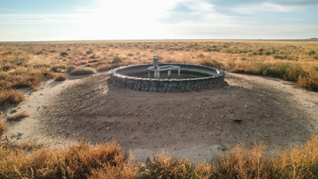 161.5 +/- Acres Improved Grass Tract In Lamb County - image 7