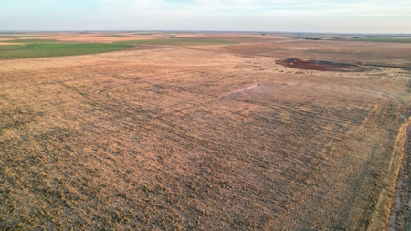 161.5 +/- Acres Improved Grass Tract In Lamb County - image 12