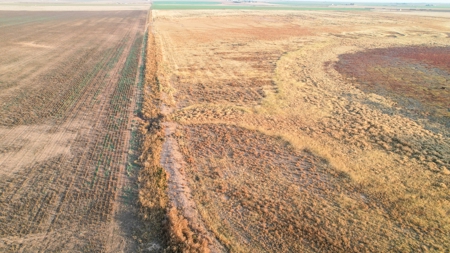 161.5 +/- Acres Improved Grass Tract In Lamb County - image 5