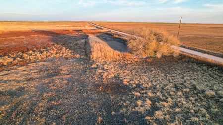 161.5 +/- Acres Improved Grass Tract In Lamb County - image 19