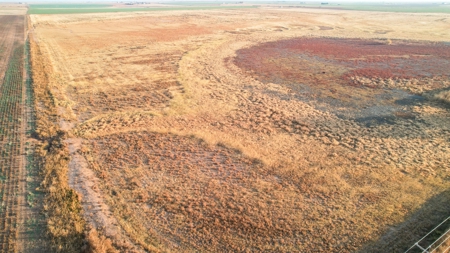 161.5 +/- Acres Improved Grass Tract In Lamb County - image 6