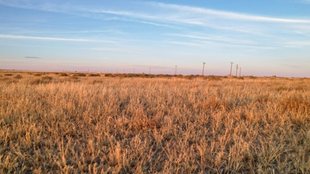 161.5 +/- Acres Improved Grass Tract In Lamb County - image 26