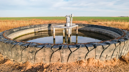 161.5 +/- Acres Improved Grass Tract In Lamb County - image 8