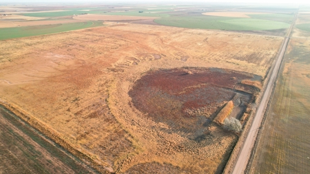 161.5 +/- Acres Improved Grass Tract In Lamb County - image 1