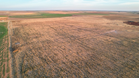 161.5 +/- Acres Improved Grass Tract In Lamb County - image 11
