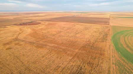 161.5 +/- Acres Improved Grass Tract In Lamb County - image 2