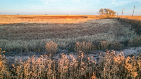 161.5 +/- Acres Improved Grass Tract In Lamb County - image 16