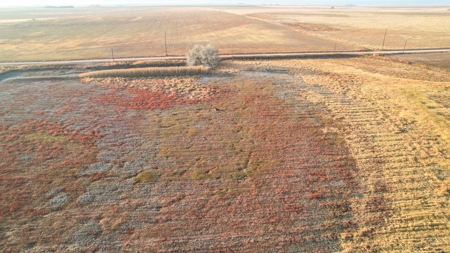 161.5 +/- Acres Improved Grass Tract In Lamb County - image 4