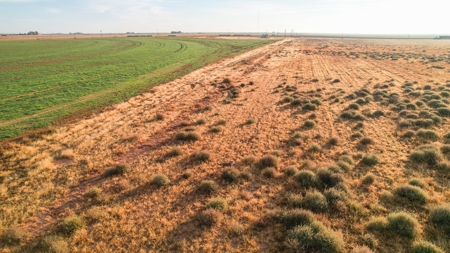 161.5 +/- Acres Improved Grass Tract In Lamb County - image 3