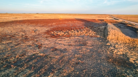 161.5 +/- Acres Improved Grass Tract In Lamb County - image 18