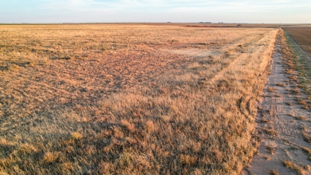 161.5 +/- Acres Improved Grass Tract In Lamb County - image 9