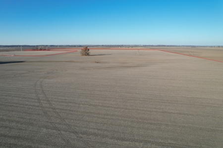 Ray County Missouri Row Crop Bottom Land i-Auction - image 4