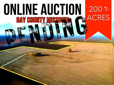 Ray County Missouri Row Crop Bottom Land i-Auction - image 6