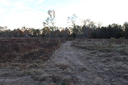 Calhoun County Land for Sale! - image 4