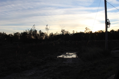 Calhoun County Land for Sale! - image 11