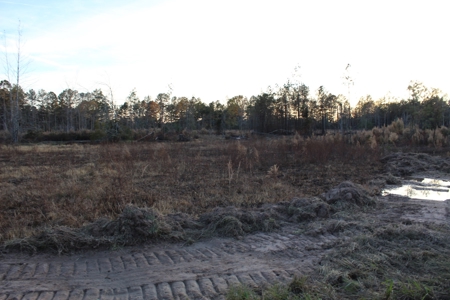 Calhoun County Land for Sale! - image 10