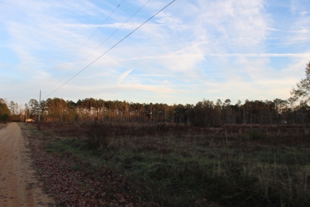 Calhoun County Land for Sale! - image 2
