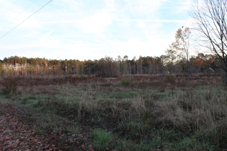 Calhoun County Land for Sale! - image 1