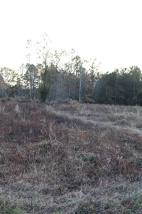 Calhoun County Land for Sale! - image 7