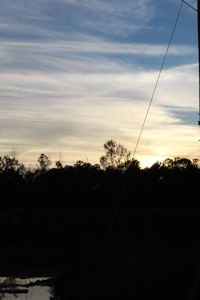 Calhoun County Land for Sale! - image 9