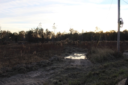 Calhoun County Land for Sale! - image 12