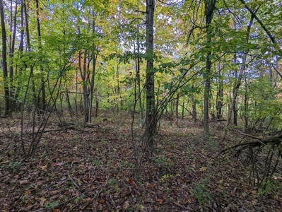 Land for Sale in Meadows of Dan VA - image 20