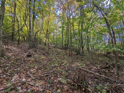 Land for Sale in Meadows of Dan VA - image 17