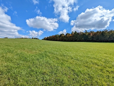 Land for Sale in Meadows of Dan VA - image 6
