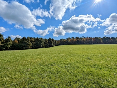 Land for Sale in Meadows of Dan VA - image 5