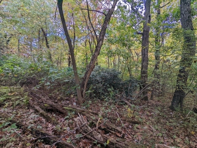 Land for Sale in Meadows of Dan VA - image 14