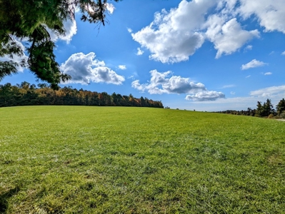 Land for Sale in Meadows of Dan VA - image 2
