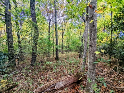 Land for Sale in Meadows of Dan VA - image 15