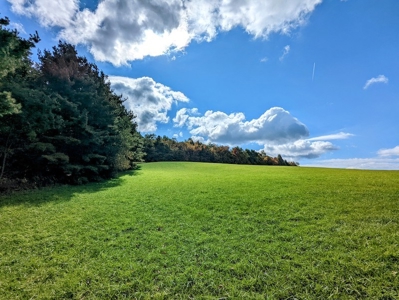Land for Sale in Meadows of Dan VA - image 4