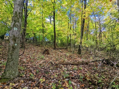 Land for Sale in Meadows of Dan VA - image 18