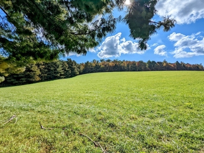 Land for Sale in Meadows of Dan VA - image 3