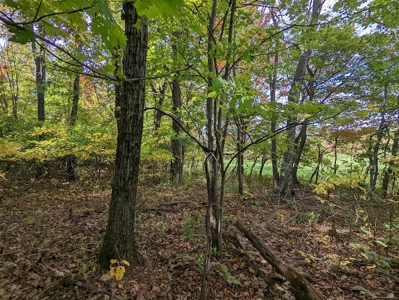 Land for Sale in Meadows of Dan VA - image 21