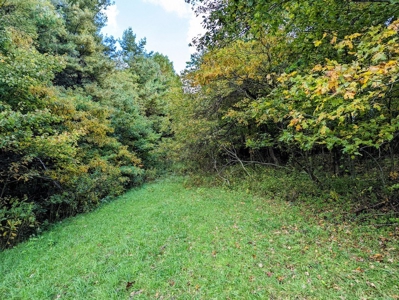 Land for Sale in Meadows of Dan VA - image 11