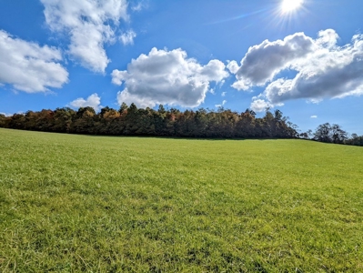 Land for Sale in Meadows of Dan VA - image 7