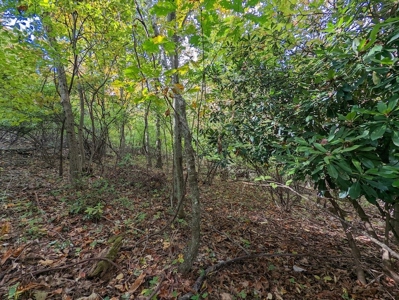 Land for Sale in Meadows of Dan VA - image 16
